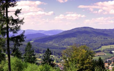 Bayerischer Wald – The Bavarian Forest