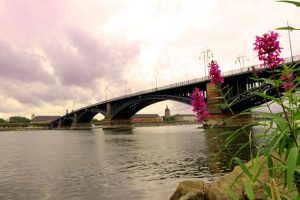 Mainz Bridge River Flowers